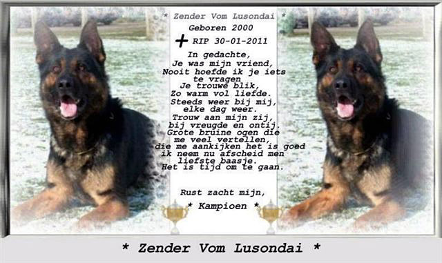 Zender RIP 2011